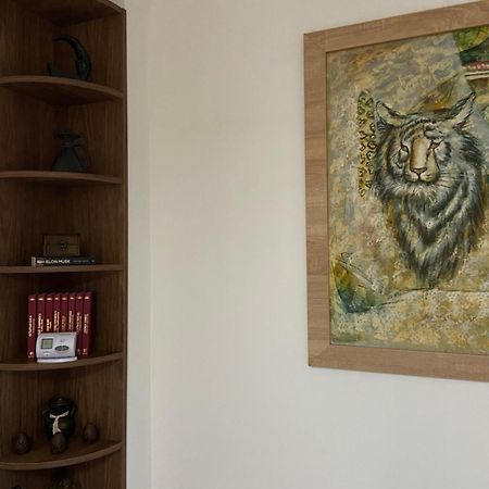Casa Mountain View Villa Braşov Eksteriør bilde