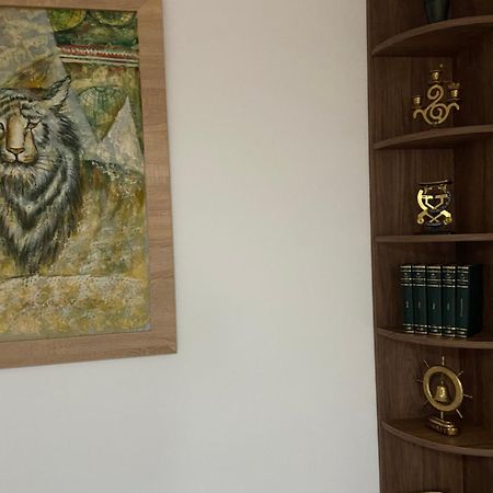 Casa Mountain View Villa Braşov Eksteriør bilde