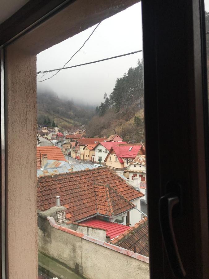 Casa Mountain View Villa Braşov Eksteriør bilde