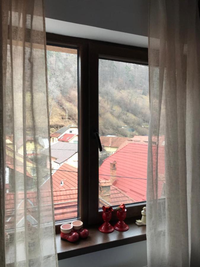 Casa Mountain View Villa Braşov Eksteriør bilde
