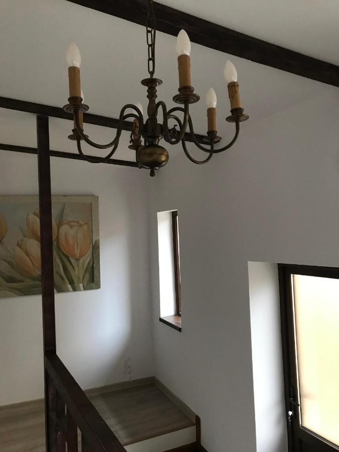 Casa Mountain View Villa Braşov Eksteriør bilde