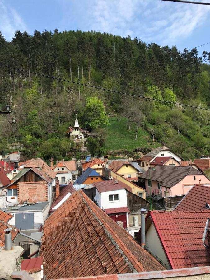 Casa Mountain View Villa Braşov Eksteriør bilde
