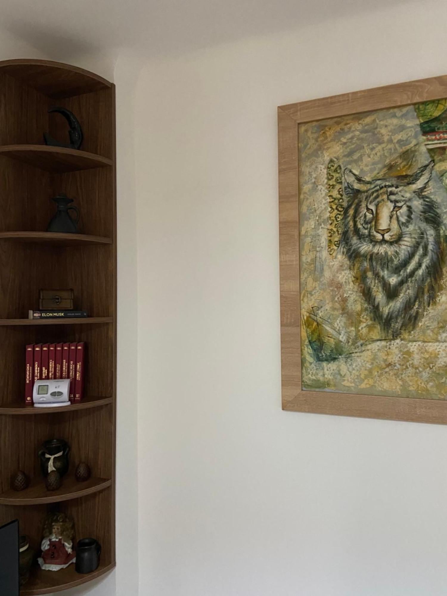 Casa Mountain View Villa Braşov Eksteriør bilde