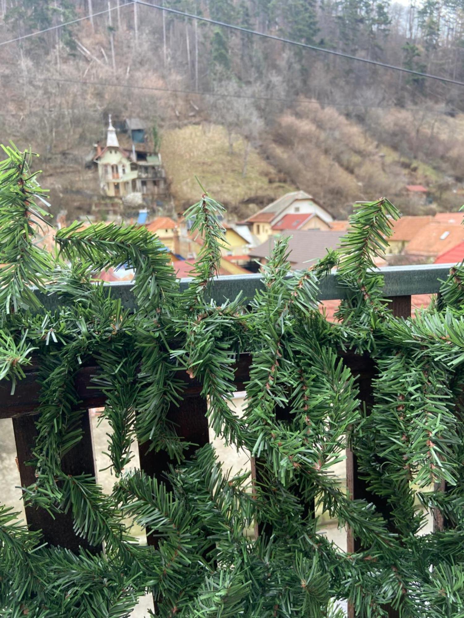 Casa Mountain View Villa Braşov Eksteriør bilde